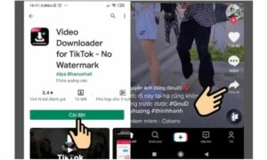 Hướng dẫn cách lưu Video trên Tiktok khi không có nút lưu trên Android